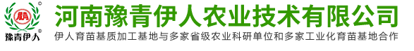 光大榮耀國際貿(mào)易(北京)有限公司